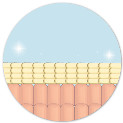 Clean Skin Club Canada 